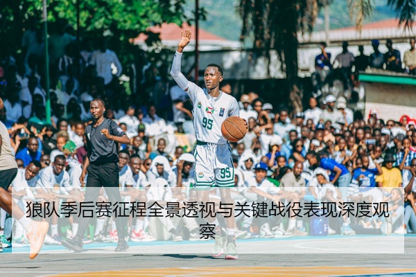 狼队季后赛征程全景透视与关键战役表现深度观察